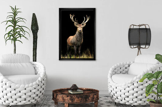 Animal Wall Art Ideas