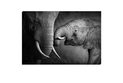 Elephant Touch | Canvas Wall Art Print