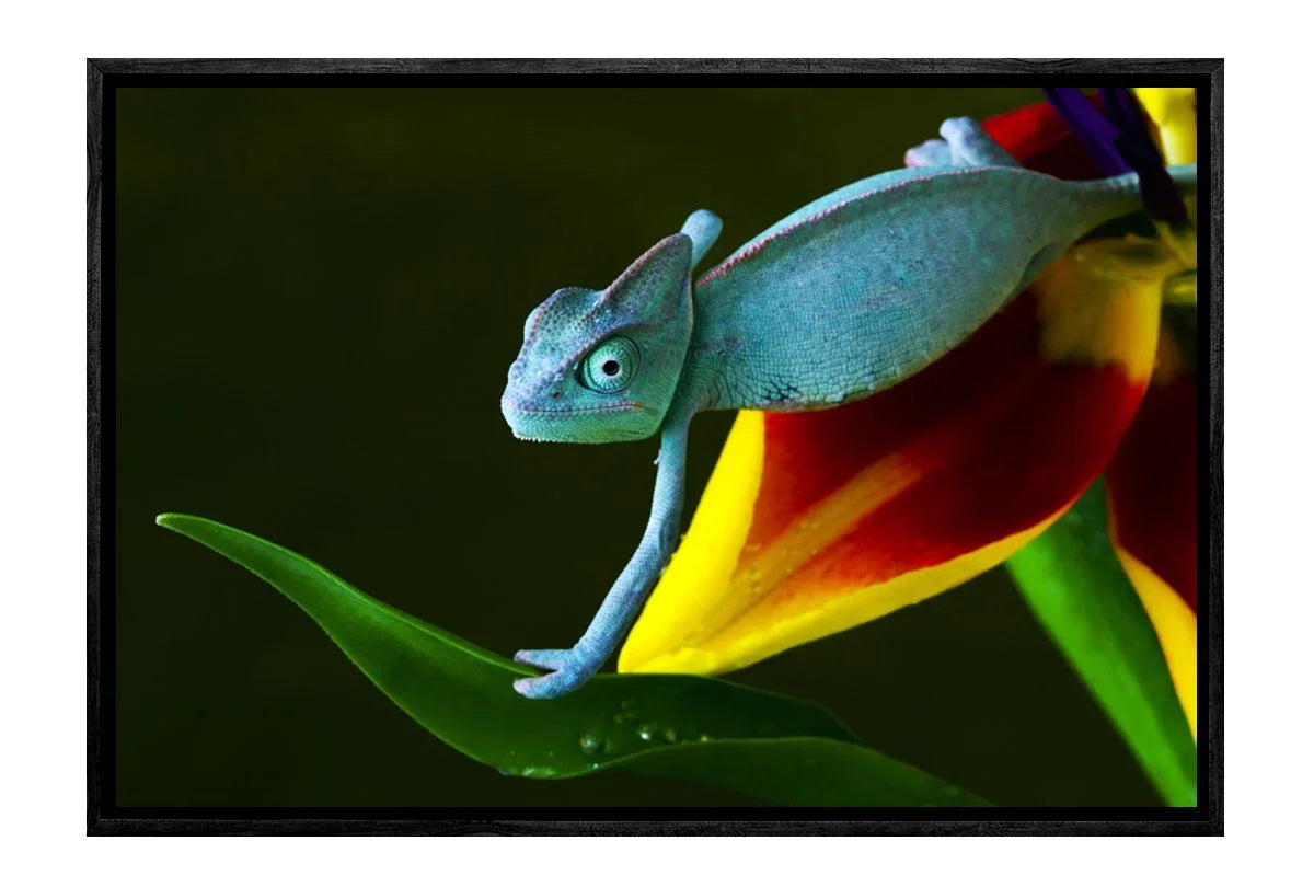 Blue Chameleon | Canvas Art Print - Final Touch Decor