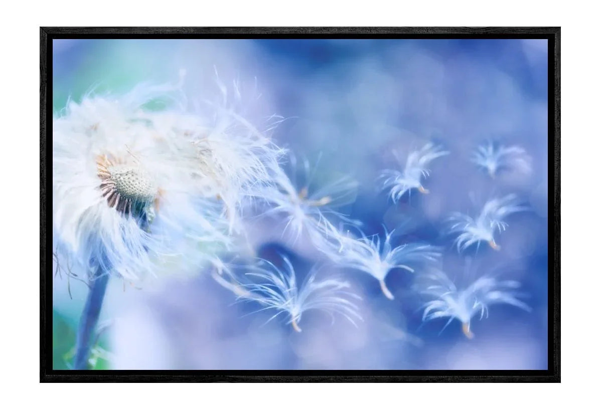 Make a Wish | Canvas Art Print - Final Touch Decor