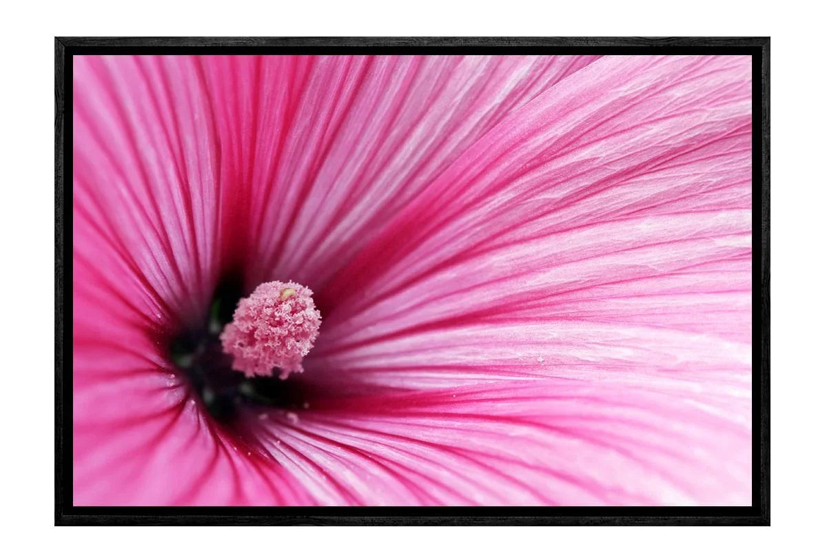Pink Hibiscus | Flower Wall Art Print - Final Touch Decor