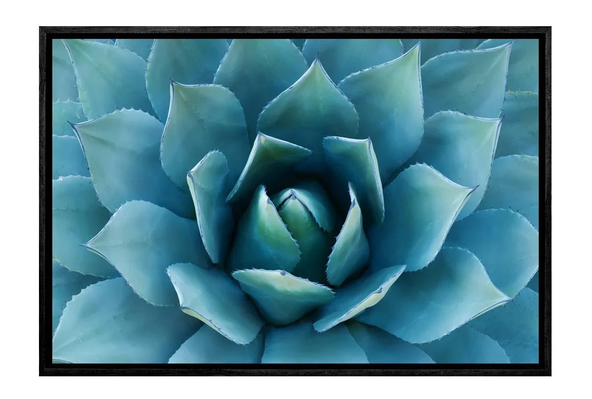 Succulent | Canvas Wall Art Print - Final Touch Decor