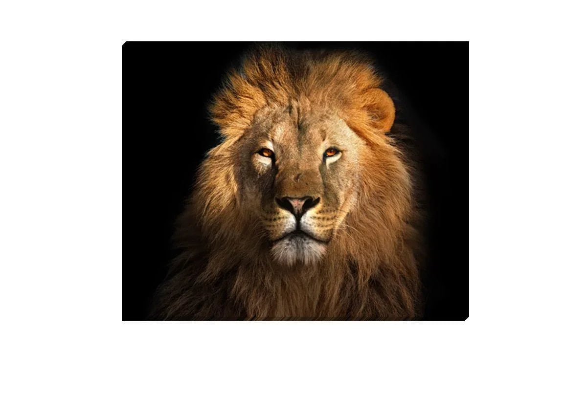 Lion 2 | Animal Canvas Wall Art Print - Final Touch Decor