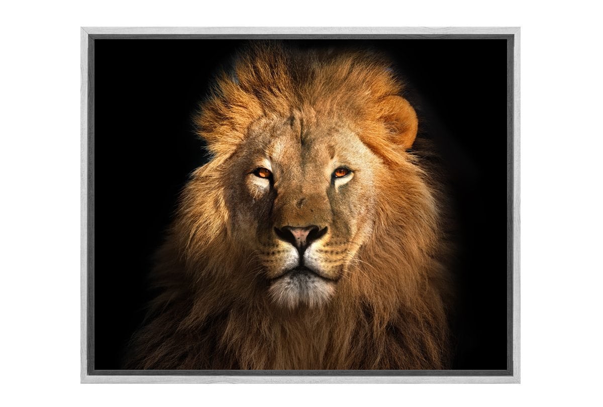 Lion 2 | Animal Canvas Wall Art Print - Final Touch Decor