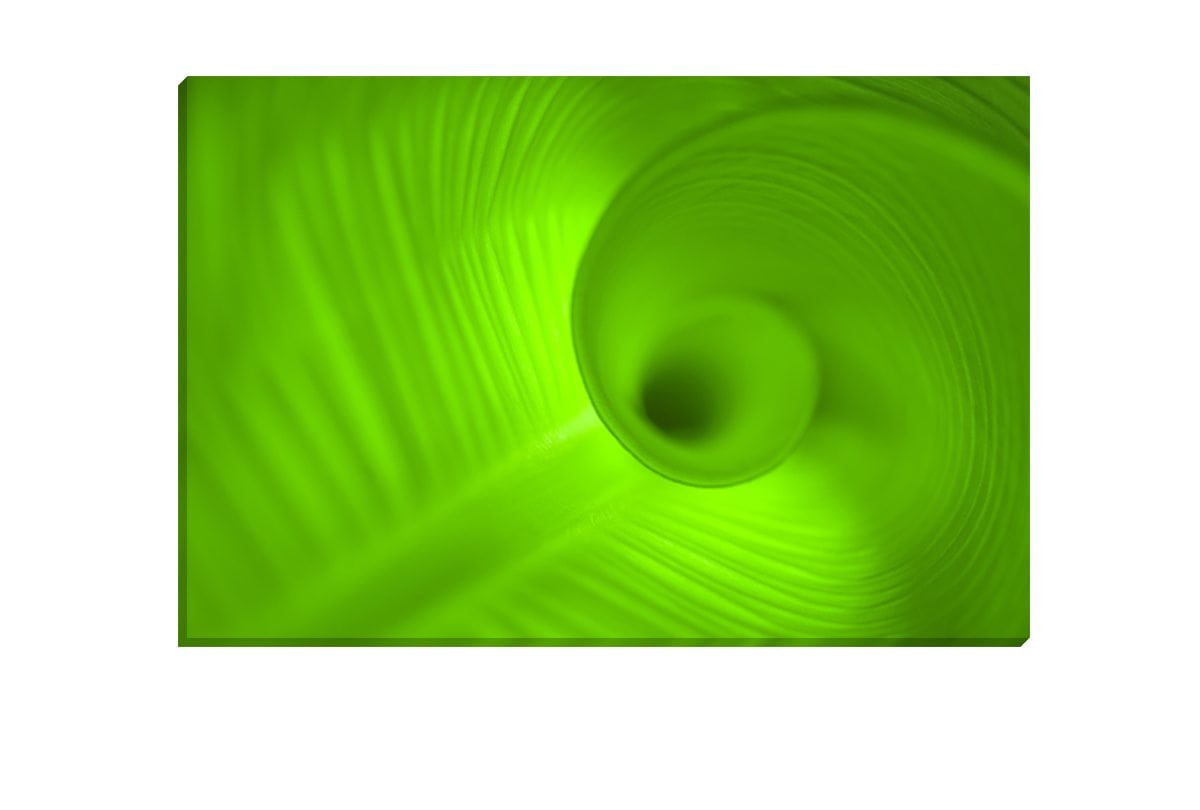 Green Leaf | Canvas Art Print - Final Touch Decor