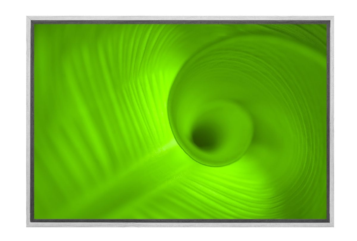 Green Leaf | Canvas Art Print - Final Touch Decor