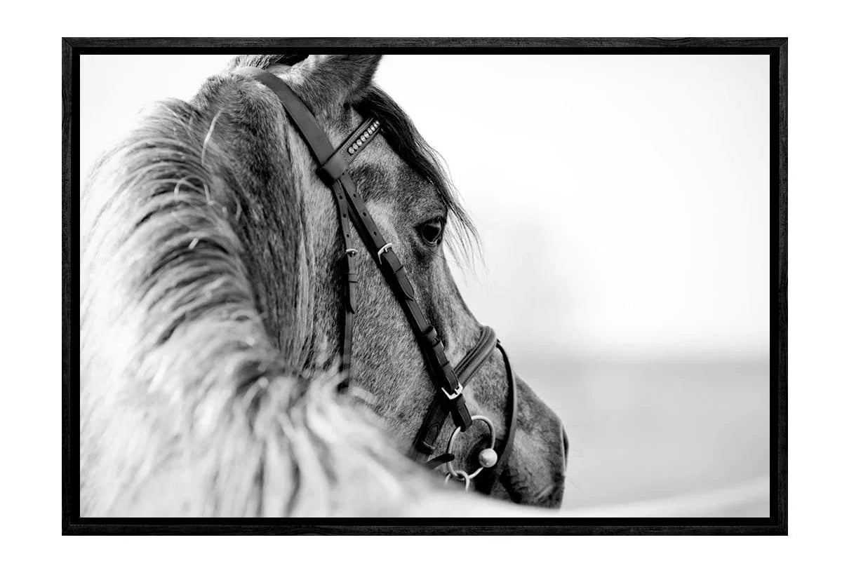 Horse | Canvas Wall Art Decor - Final Touch Decor