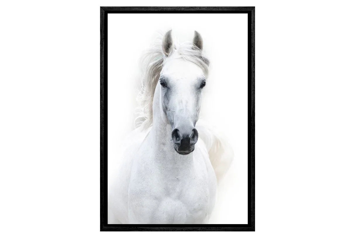 Horse 2 | Canvas Wall Art Print - Final Touch Decor
