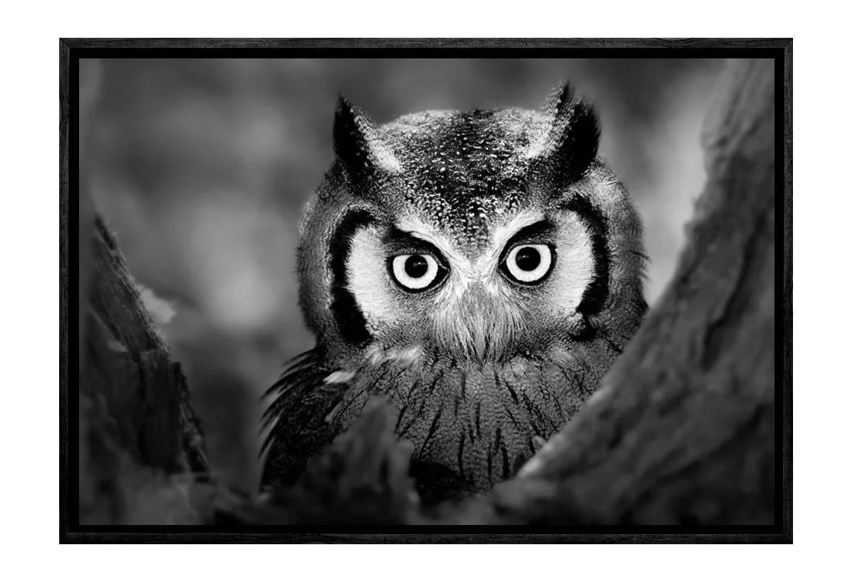 Owl Black and White | Canvas Art Print - Final Touch Decor