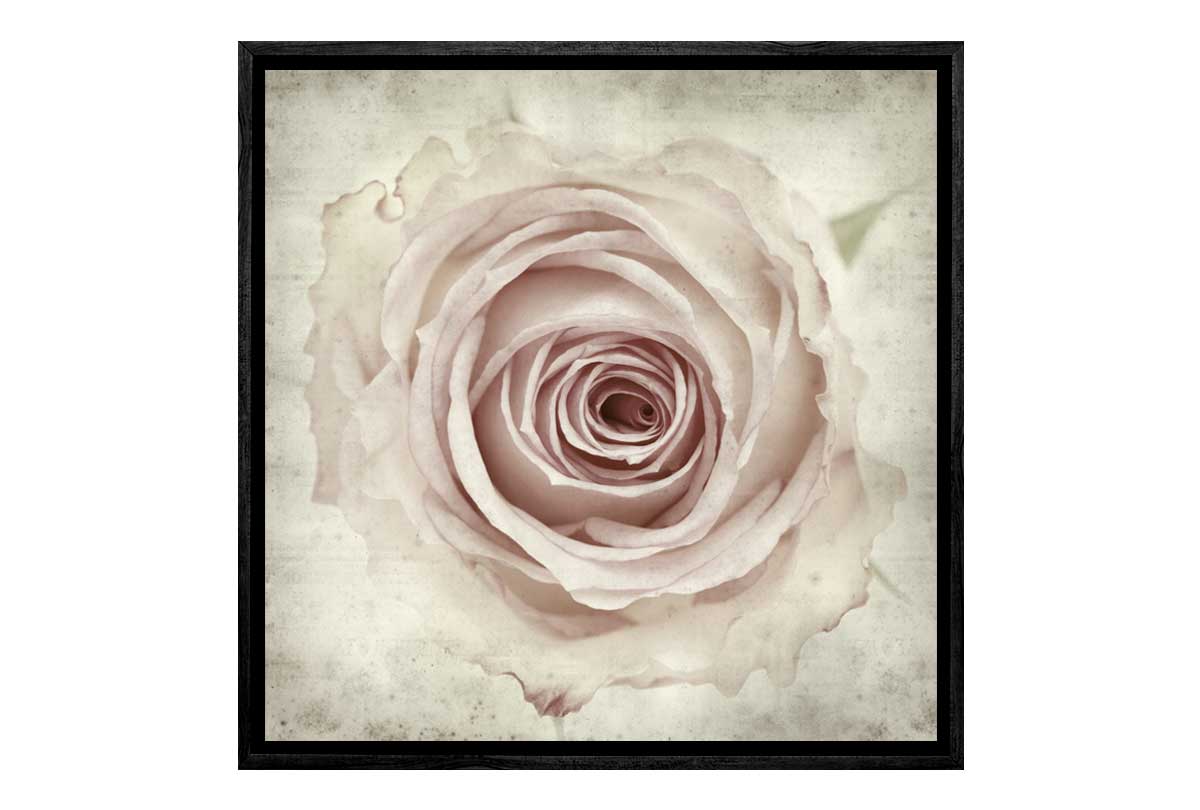 Vintage Rose Bud | Canvas Wall Art Print - Final Touch Decor