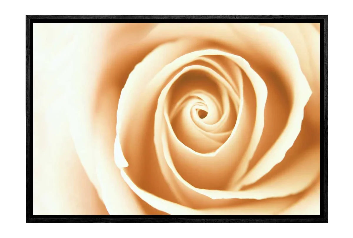 Sepia Rosebud | Canvas Wall Art Print - Final Touch Decor