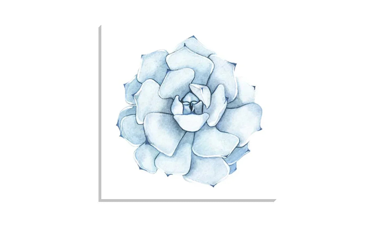 Green Watercolour Succulent | Canvas Wall Art Print - Final Touch Decor