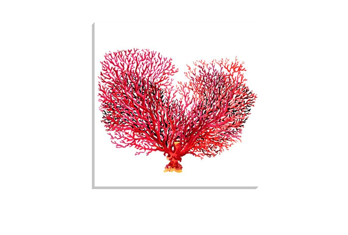 Red Fan Coral | Canvas Wall Art Print - Final Touch Decor