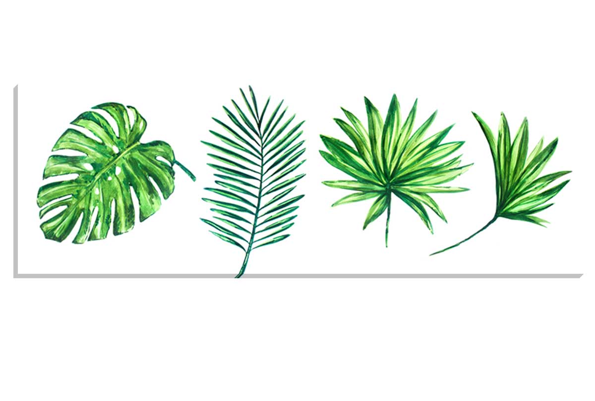 Tropical Leaf Set | Canvas Wall Art Print