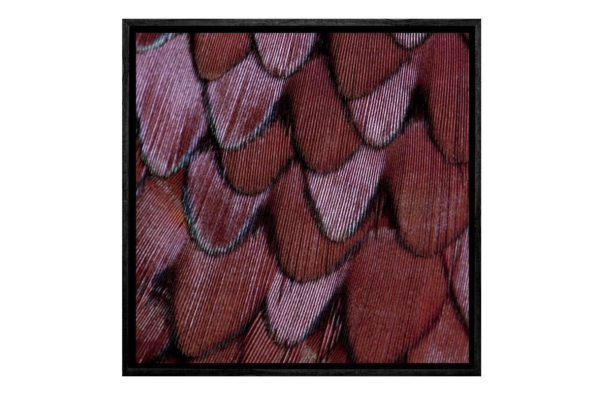 Maroon Feathers | Canvas Art Print - Final Touch Decor