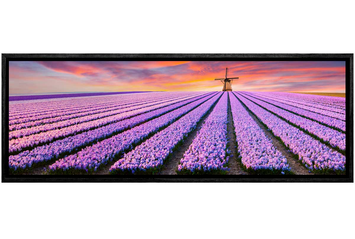 Rows of Purple Flowers | Canvas Wall Art Print