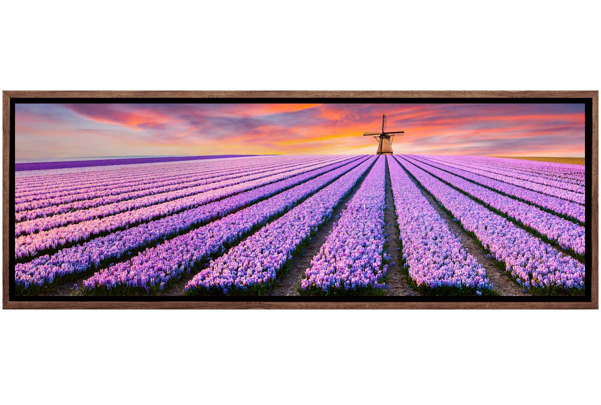 Rows of Purple Flowers | Canvas Wall Art Print
