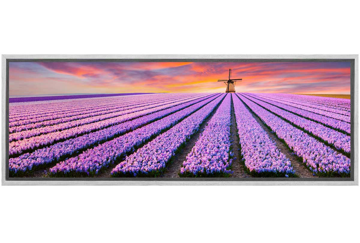Rows of Purple Flowers | Canvas Wall Art Print
