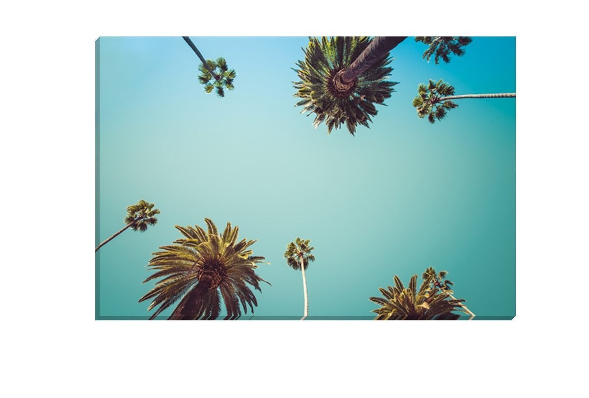 Rodeo Drive | Canvas Art Print - Final Touch Decor