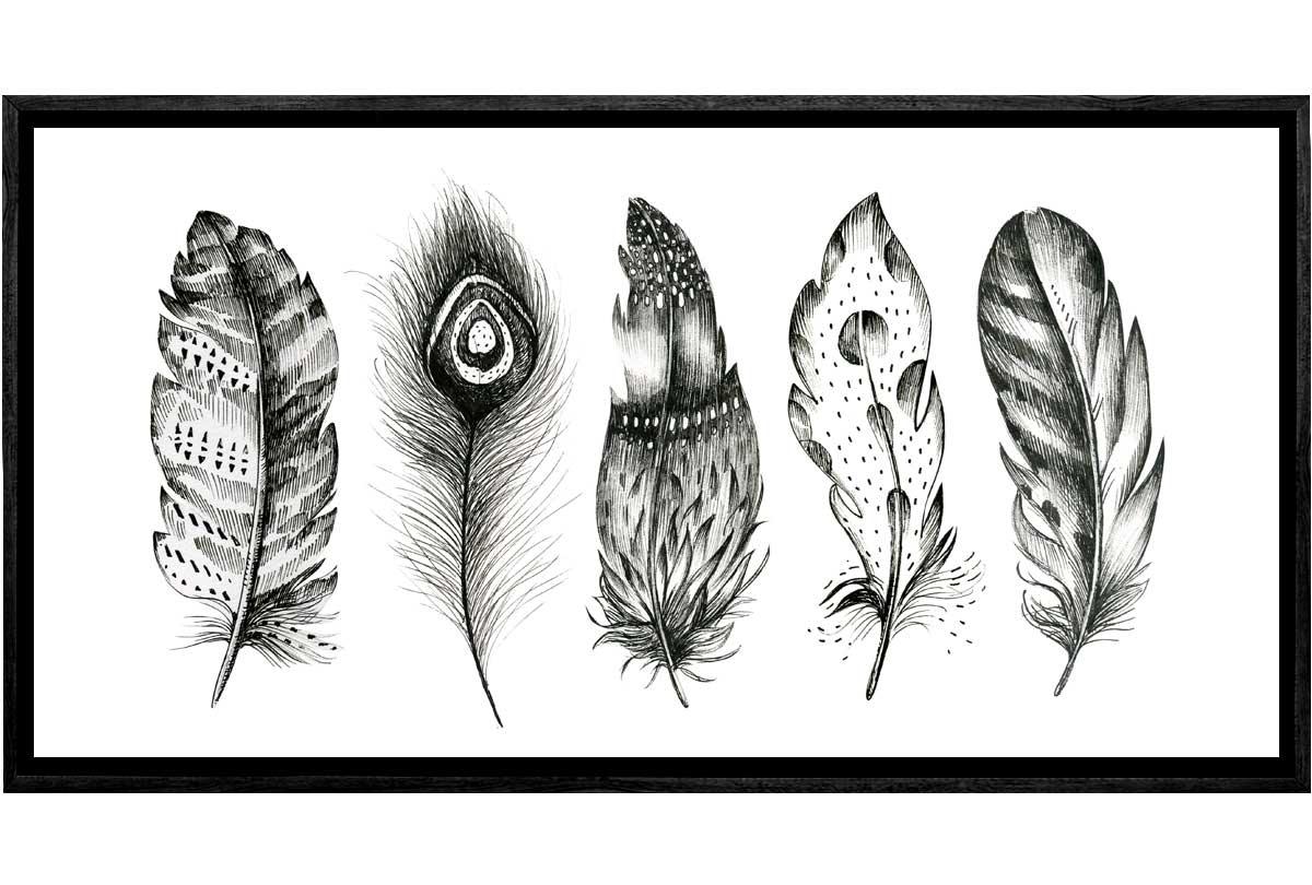 Black & White Feathers | Canvas Wall Art Print - Final Touch Decor