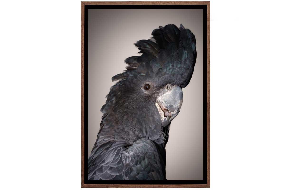 Black Cockatoo | Canvas Wall Art Print - Final Touch Decor