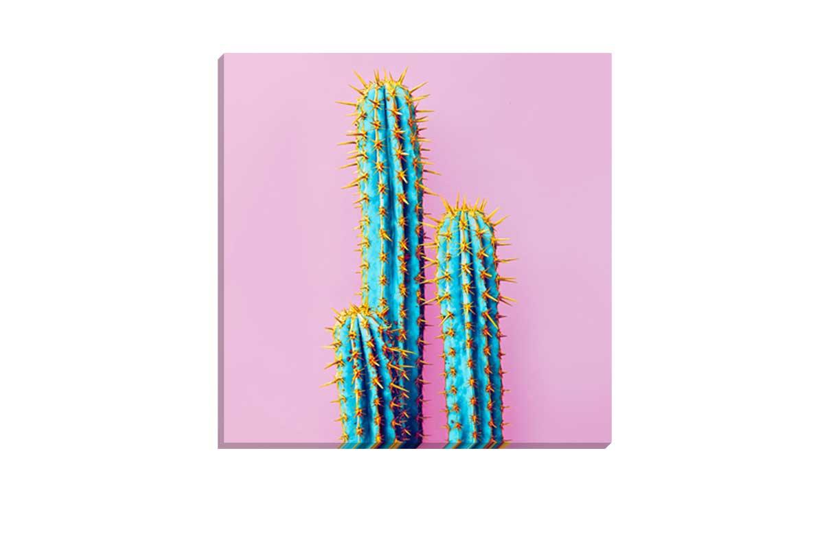 Cactus with Pink Background | Canvas Wall Art Print - Final Touch Decor