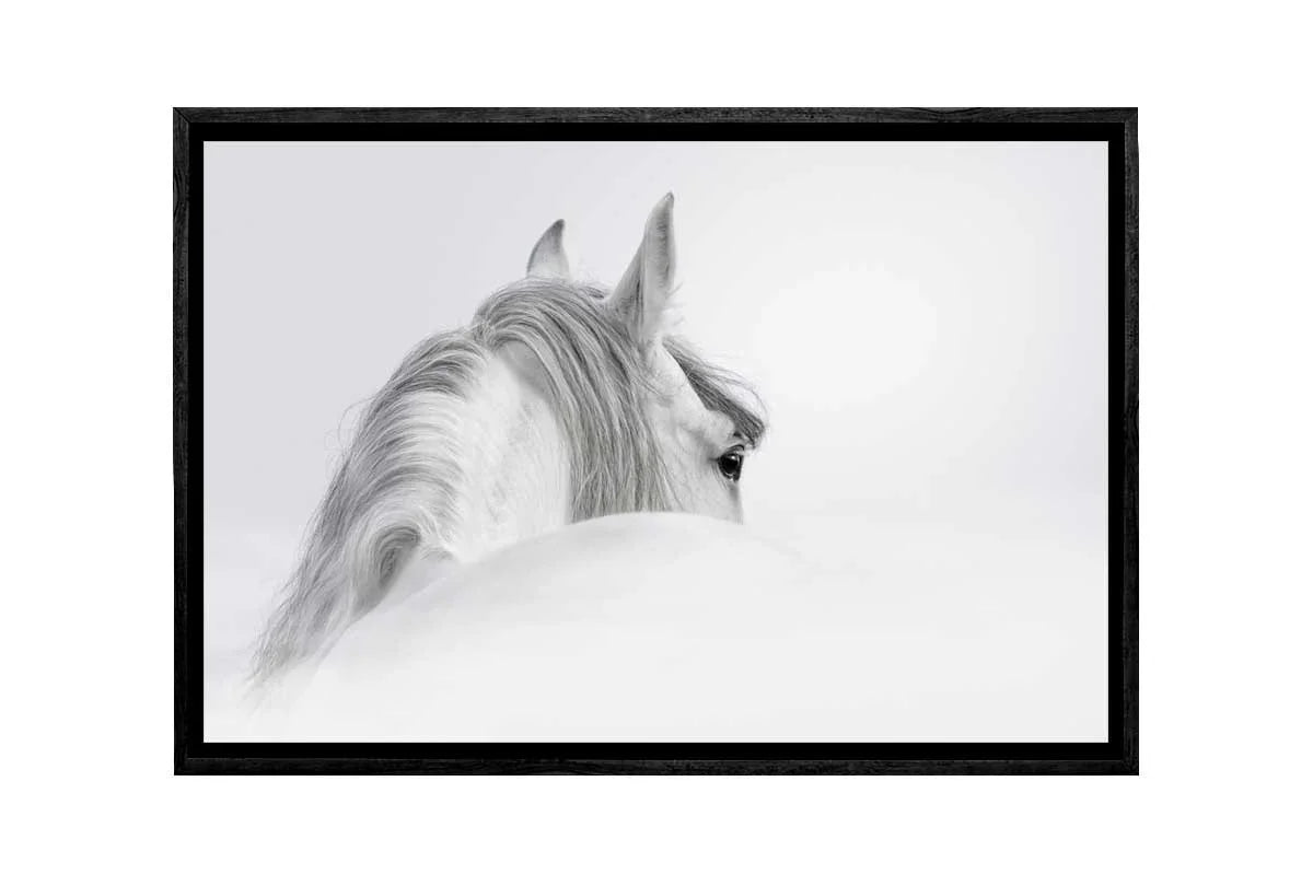 White Horse Print | Canvas Wall Art Print - Final Touch Decor