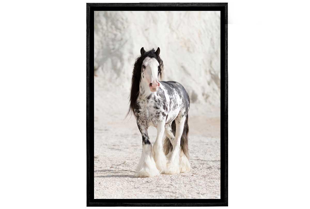 Gypsy Horse | Canvas Wall Art Print - Final Touch Decor