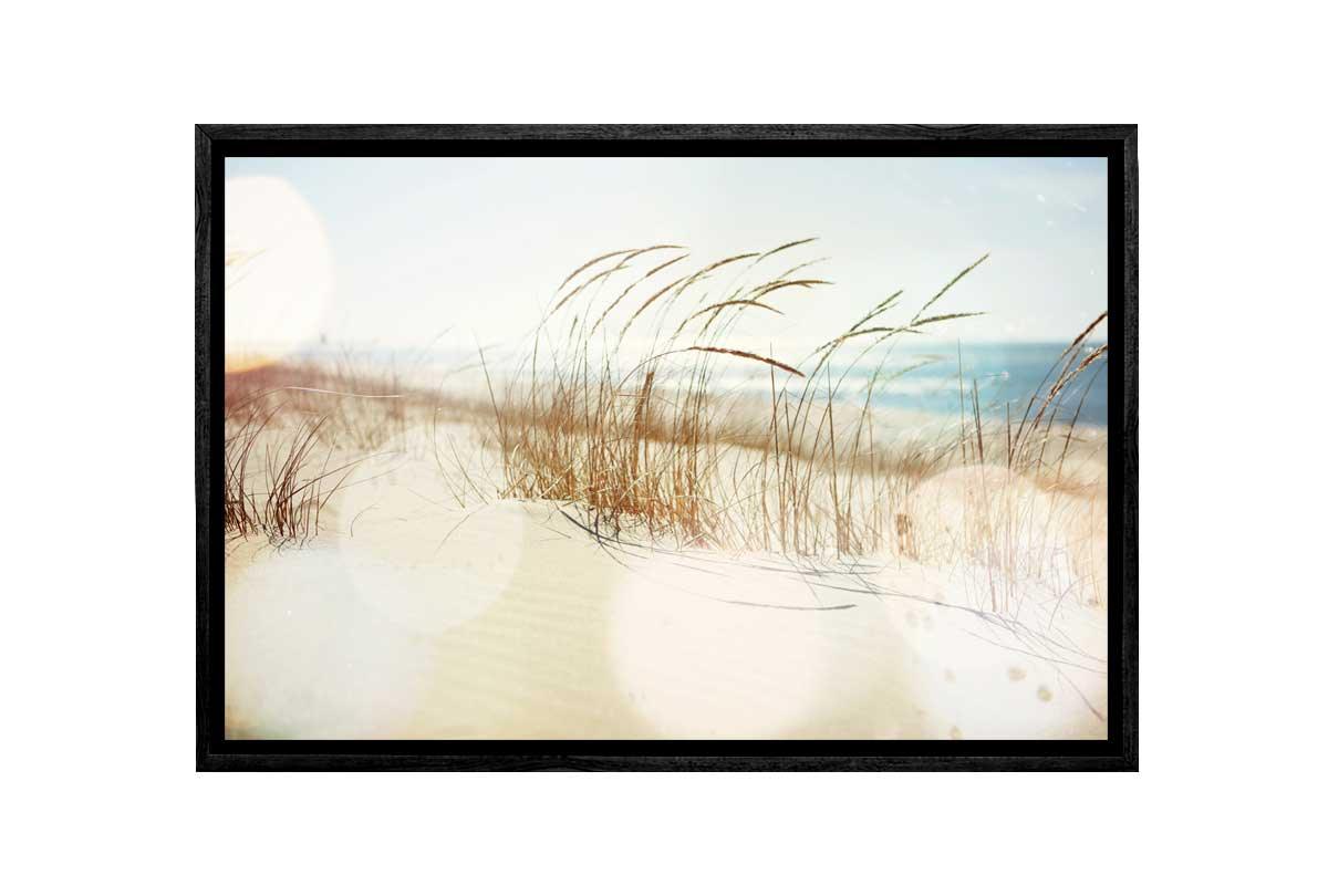 Beach Dune Grass | Canvas Wall Art Print - Final Touch Decor