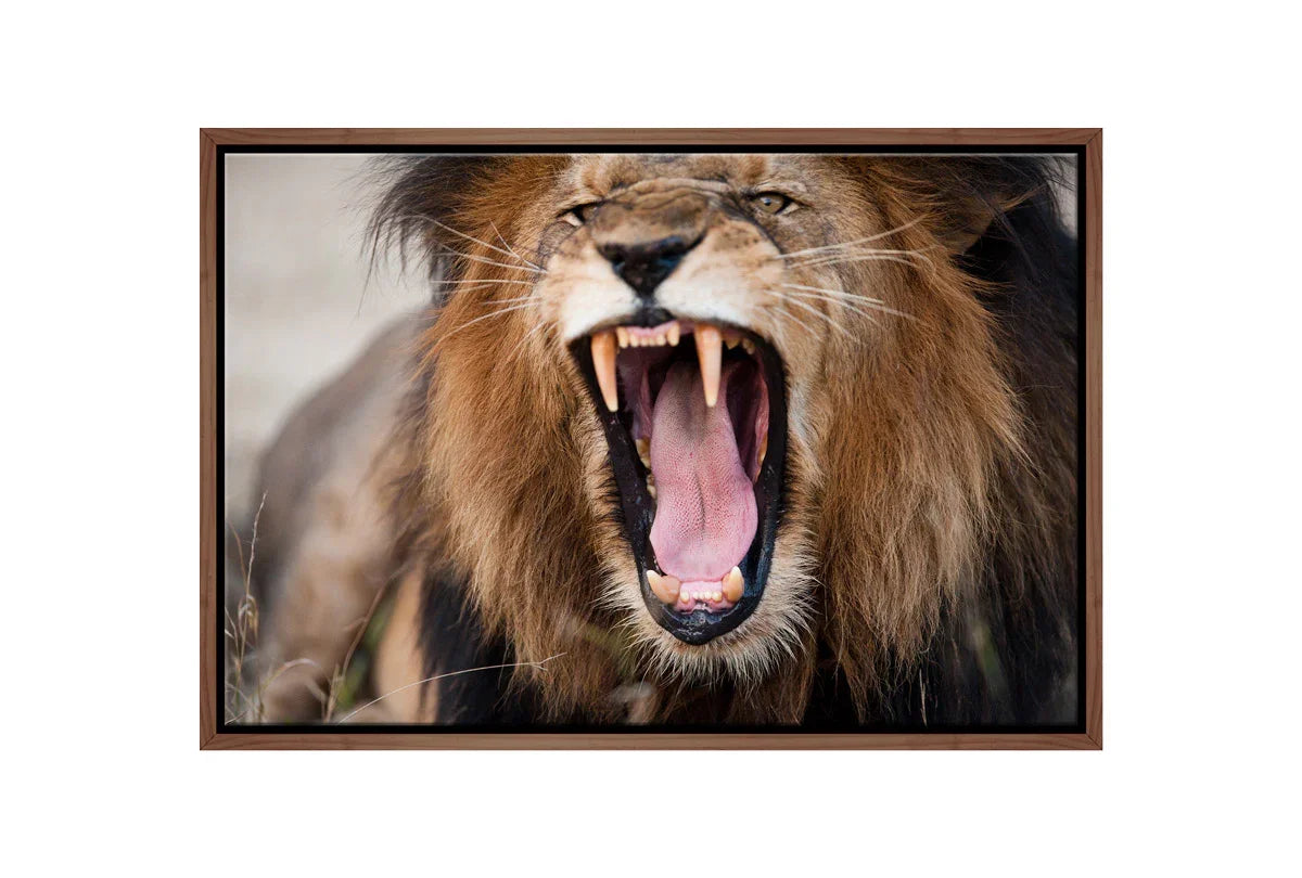 Roaring Lion | Wall Art Print - Final Touch Decor