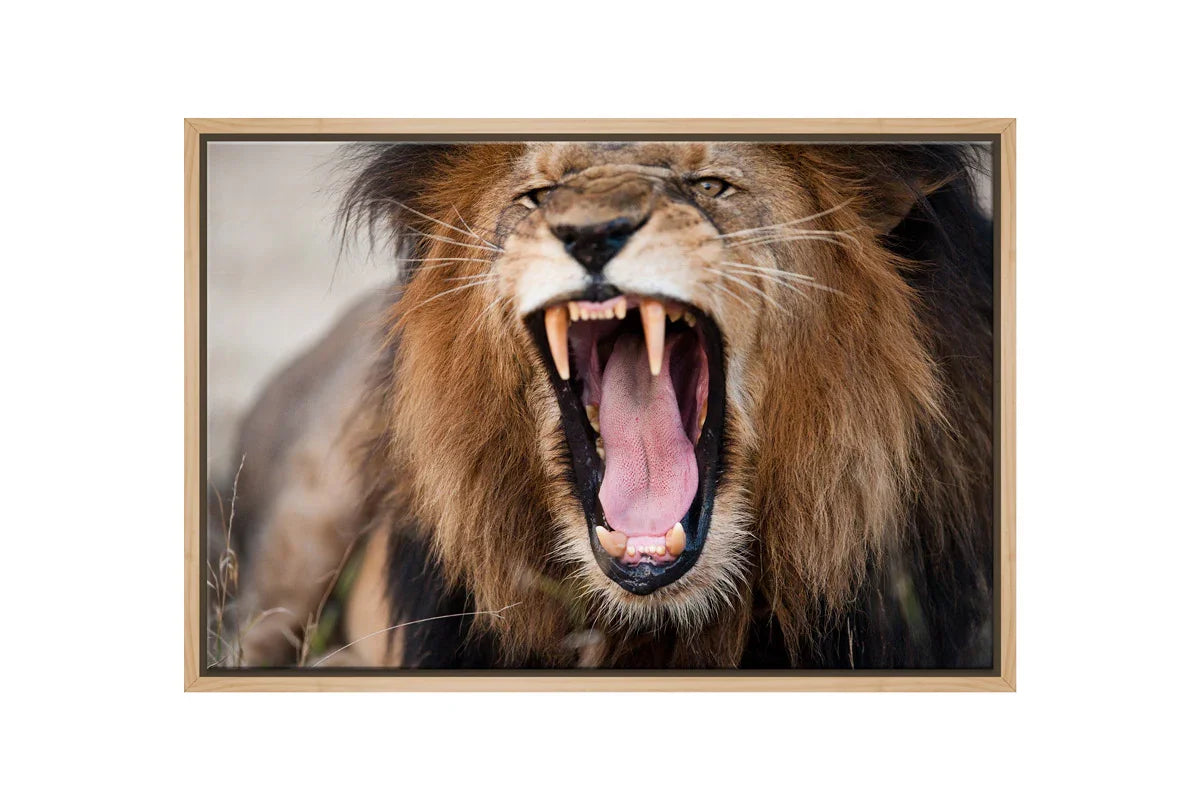 Roaring Lion | Wall Art Print - Final Touch Decor