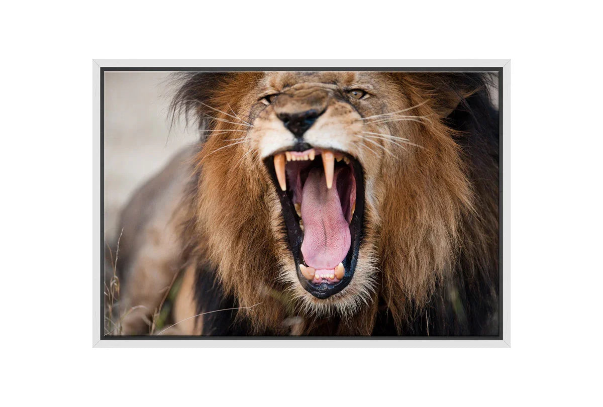 Roaring Lion | Wall Art Print - Final Touch Decor