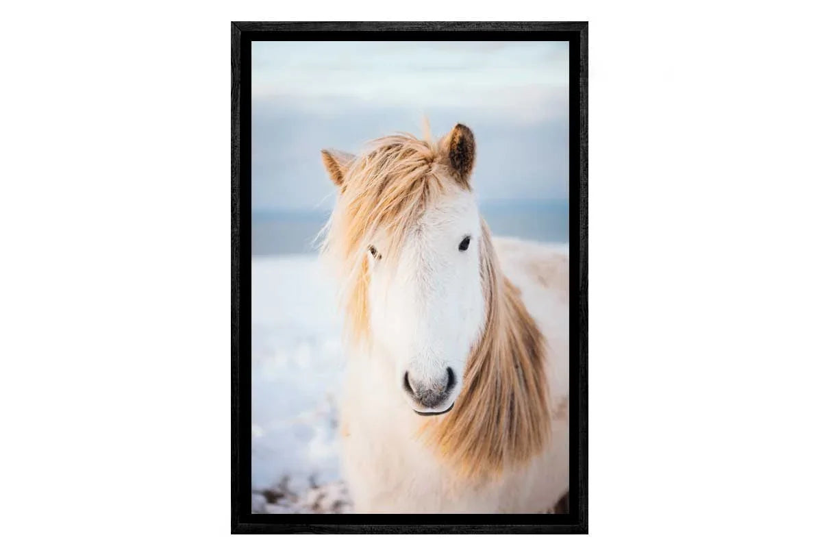 Icelandic Horse | Canvas Wall Art Decor - Final Touch Decor