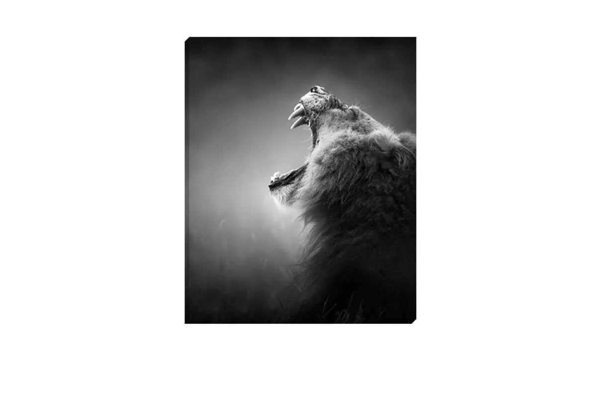 Lion Roar 2 | Canvas Art Print - Final Touch Decor