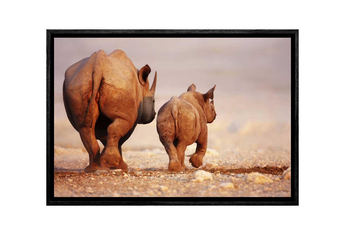 Rhino | Canvas Art Print - Final Touch Decor
