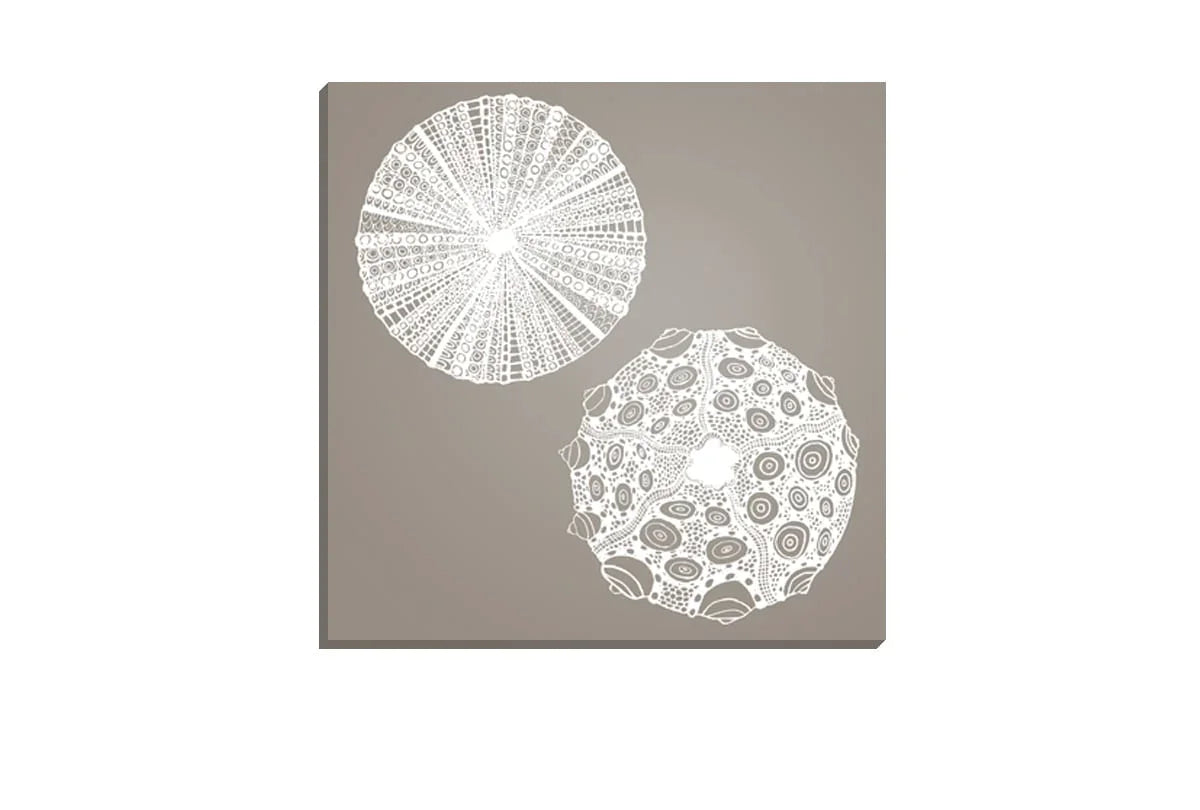 Anemone White on Beige | Canvas Wall Art Print - Final Touch Decor