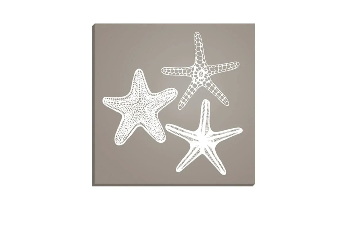 Star Fish White on Beige | Canvas Wall Art Print - Final Touch Decor