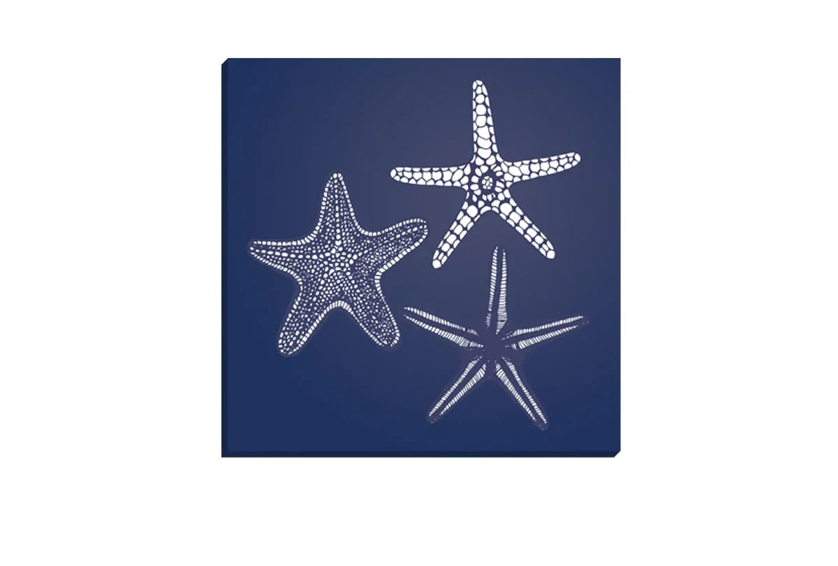Star Fish 1 White on Navy | Canvas Wall Art Print - Final Touch Decor