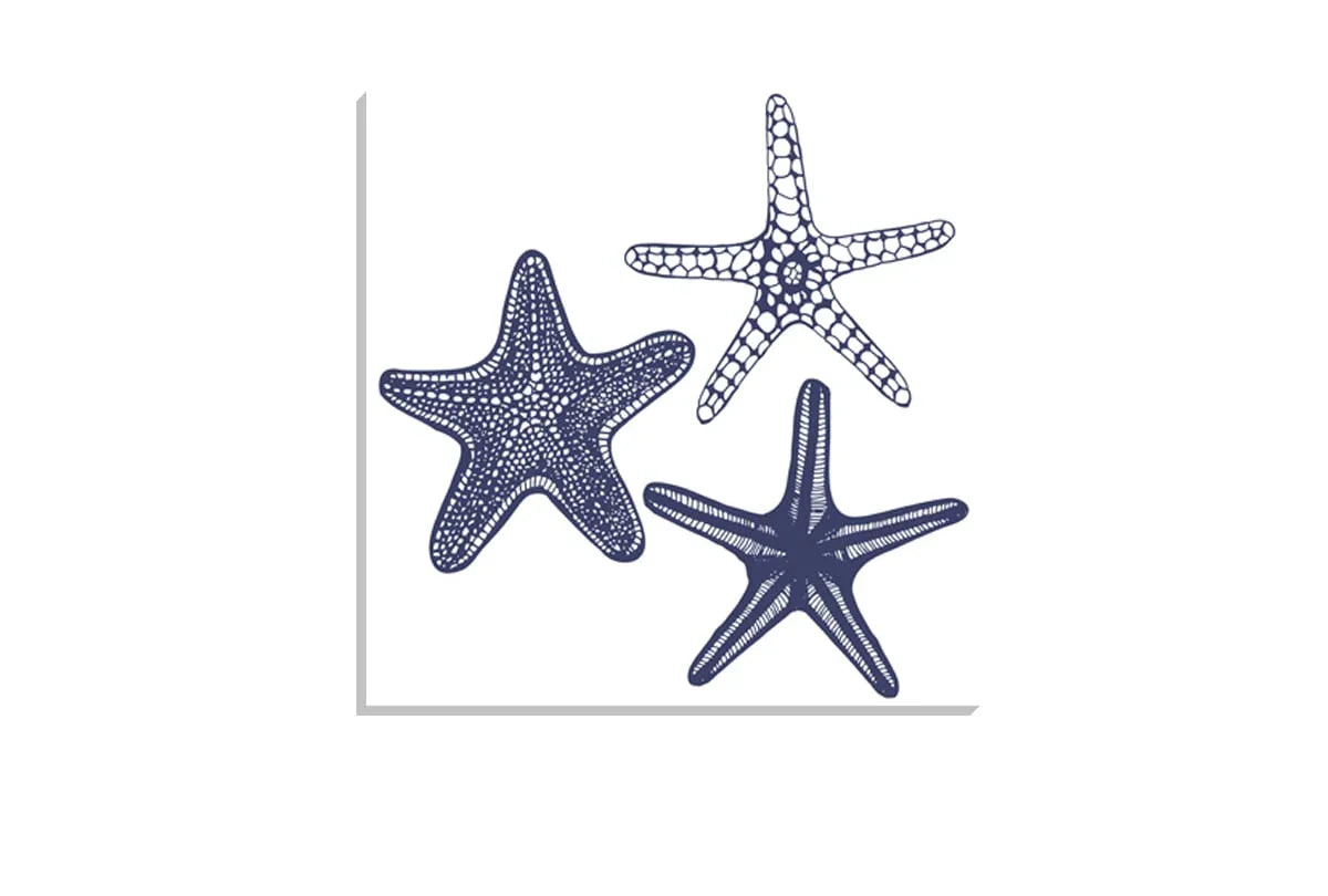 Star Fish Navy on White | Canvas Wall Art Print - Final Touch Decor