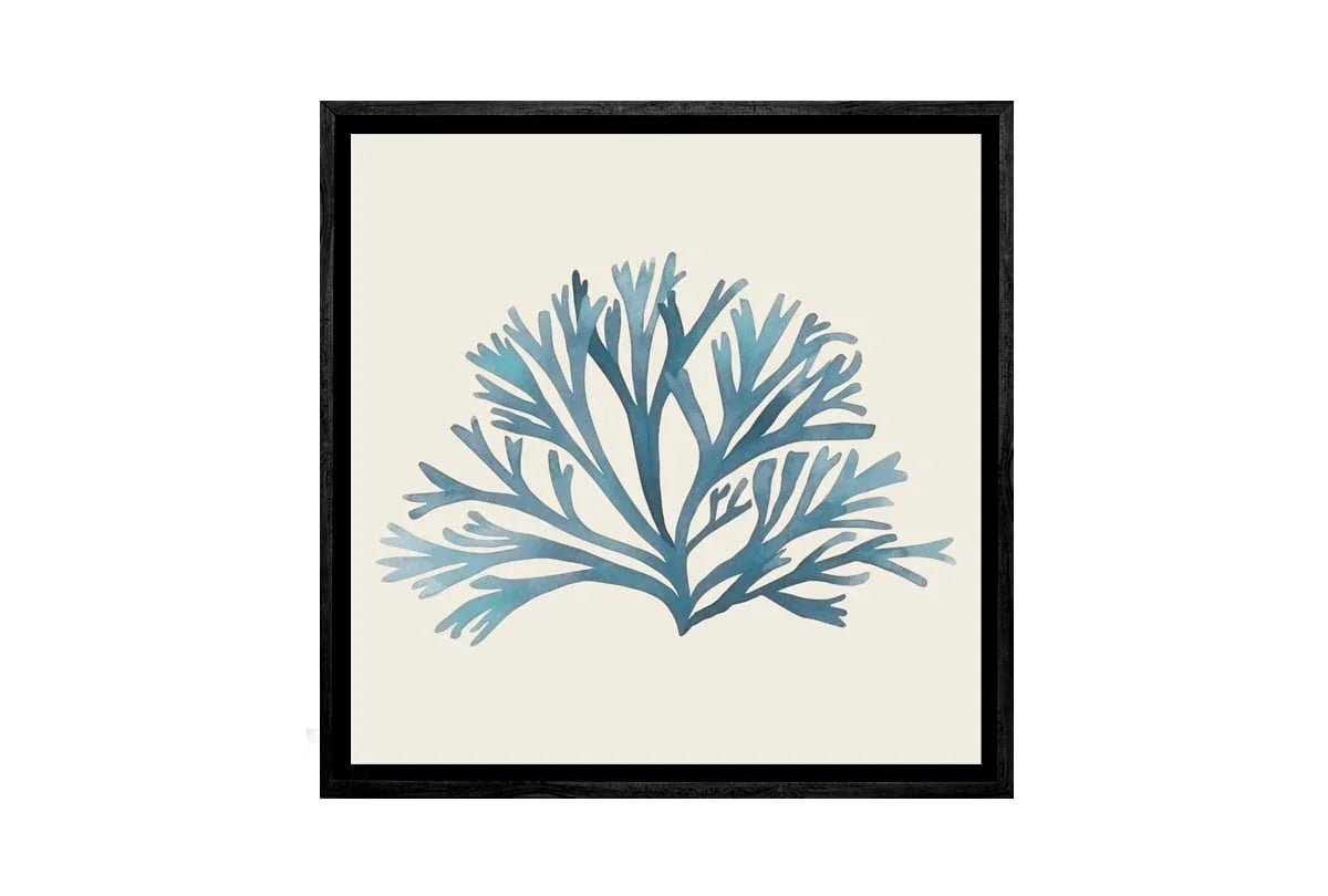Seaweed 2 Turquoise | Canvas Wall Art Print - Final Touch Decor