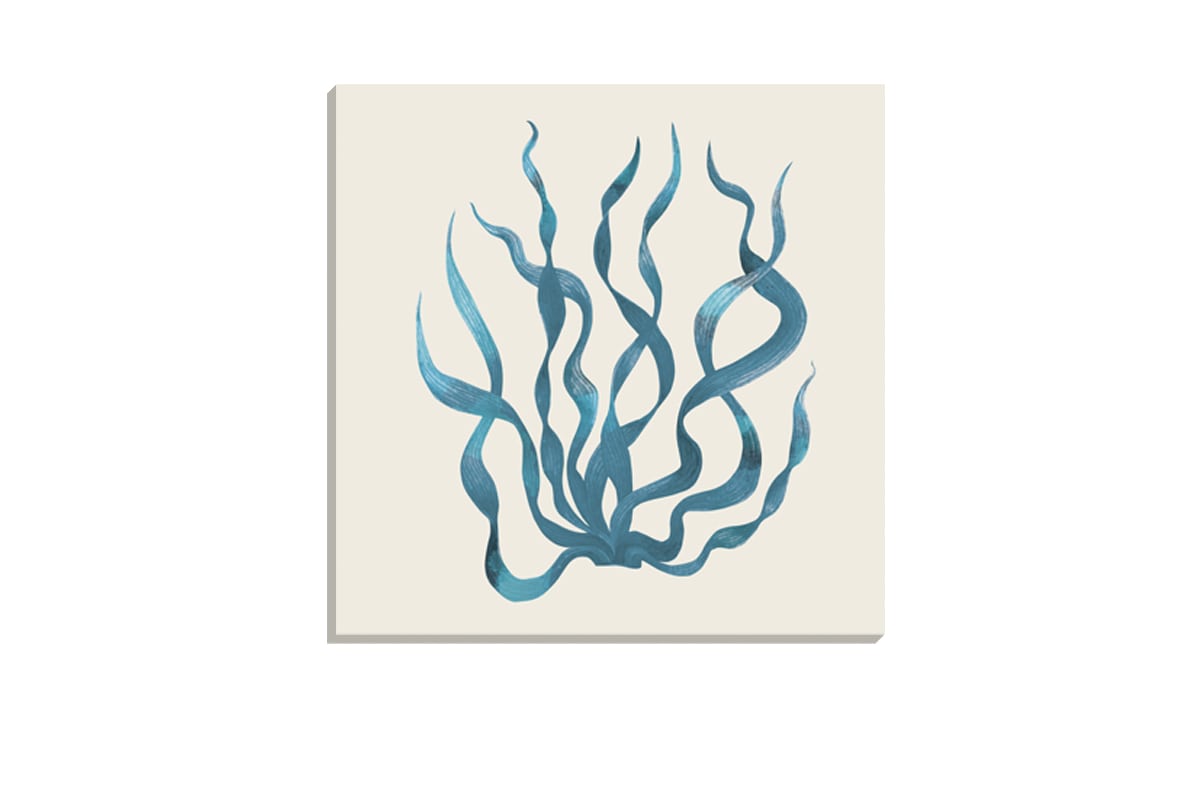 Seaweed 3 Turquoise | Canvas Wall Art Print