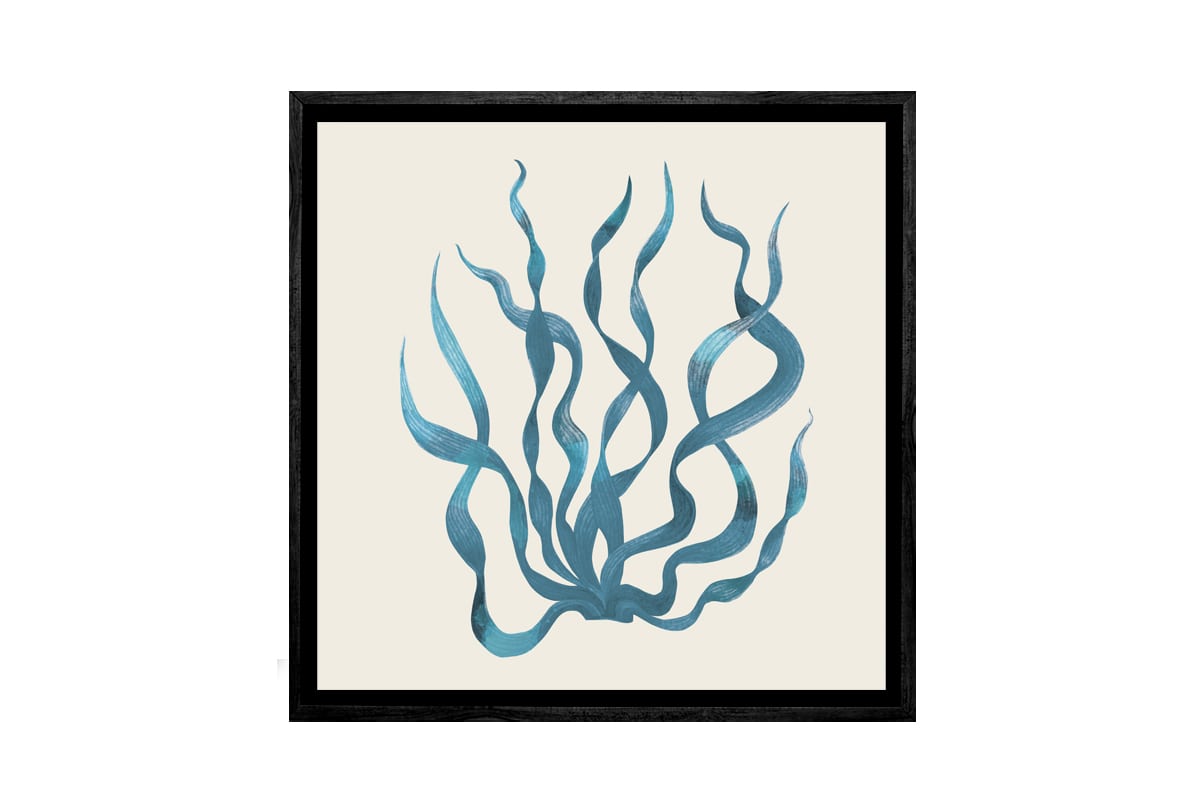 Seaweed 3 Turquoise | Canvas Wall Art Print