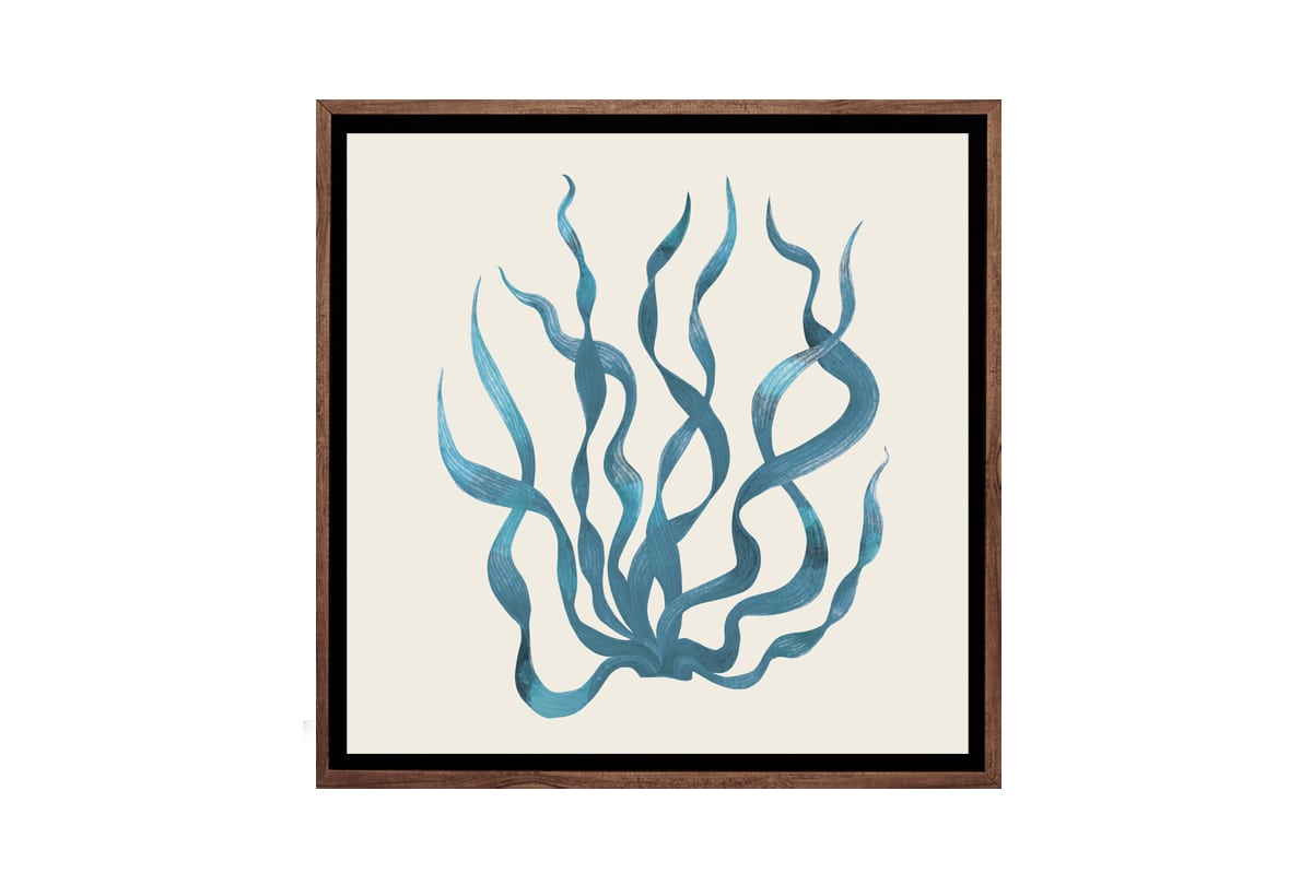 Seaweed 3 Turquoise | Canvas Wall Art Print