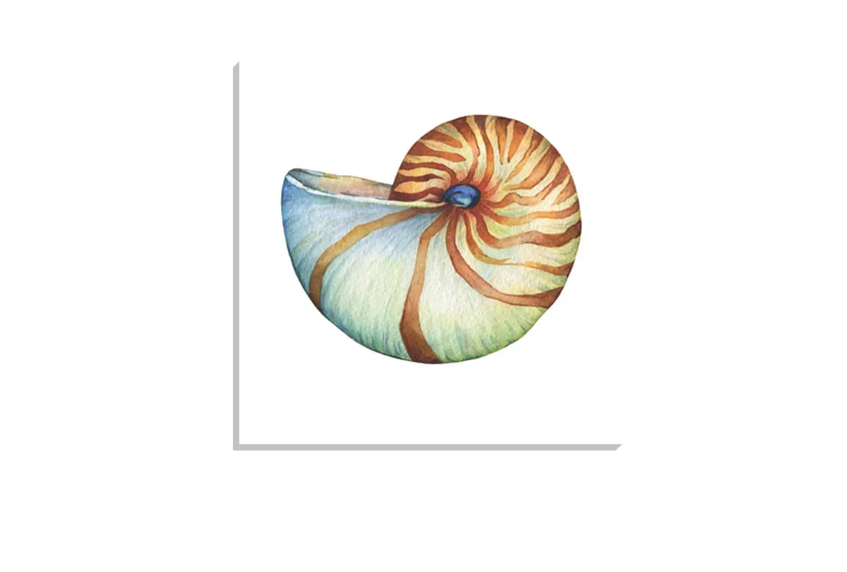 Nautilus Sea Shell | Canvas Wall Art Print - Final Touch Decor