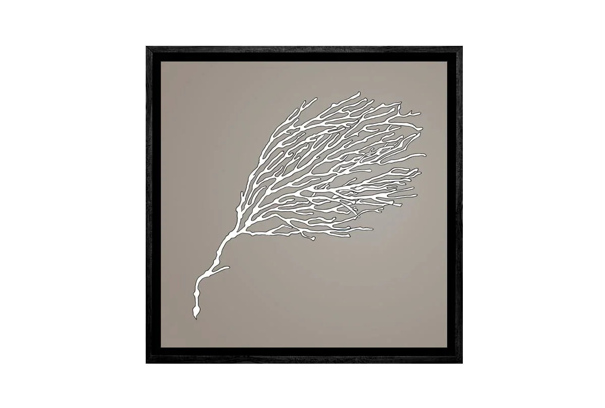 Fan Coral White on Beige | Canvas Wall Art Print - Final Touch Decor