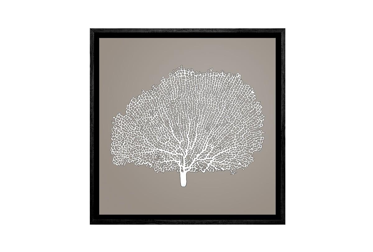 Fan Coral 2 White on Beige | Canvas Wall Art Print - Final Touch Decor