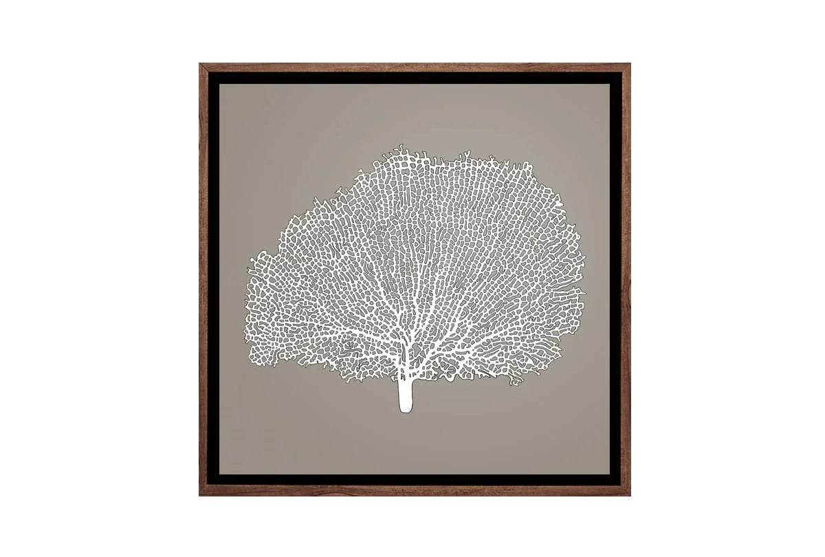 Fan Coral 2 White on Beige | Canvas Wall Art Print - Final Touch Decor