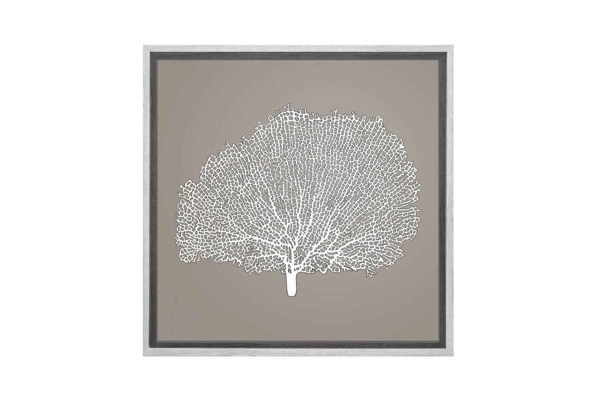 Fan Coral 2 White on Beige | Canvas Wall Art Print - Final Touch Decor