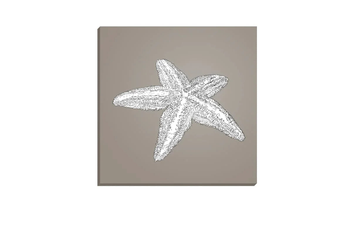 Star Fish White on Beige | Canvas Wall Art Print - Final Touch Decor