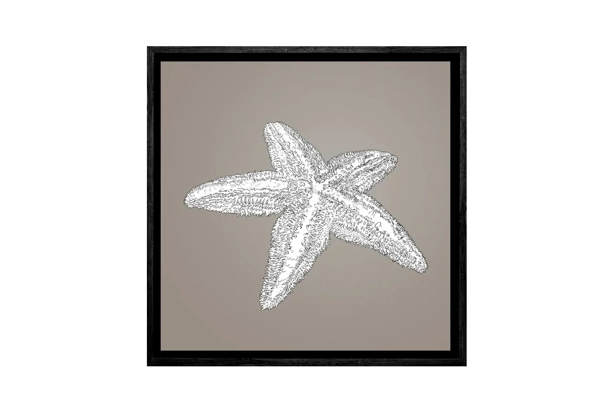 Star Fish White on Beige | Canvas Wall Art Print - Final Touch Decor